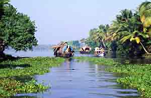 Aleppey Backwaters