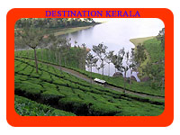 Munnar Hills